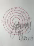 Isa Jauch „Geheimnis des Lebens“ - Büttenpapier, 40 x 30 cm, Tusche, Bleistift, Bandzug- und Bambusfeder (erwerbbar)
